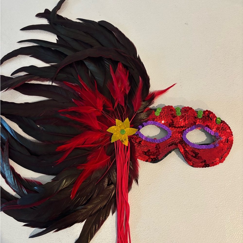 Red and Black Feathered Masquerade Mask